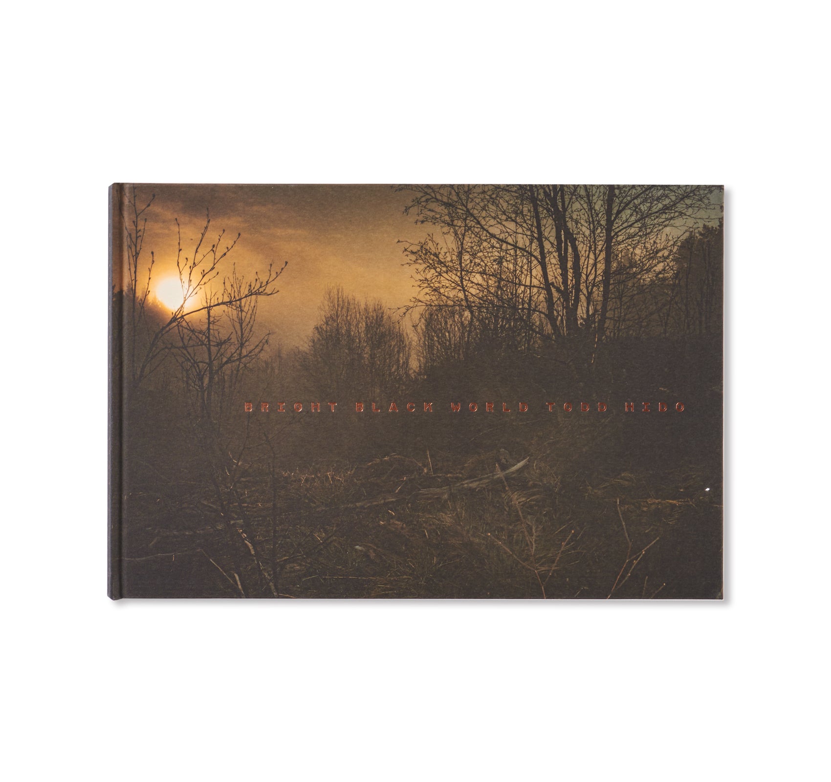 Todd Hido, Bright Black World, reproduction 2