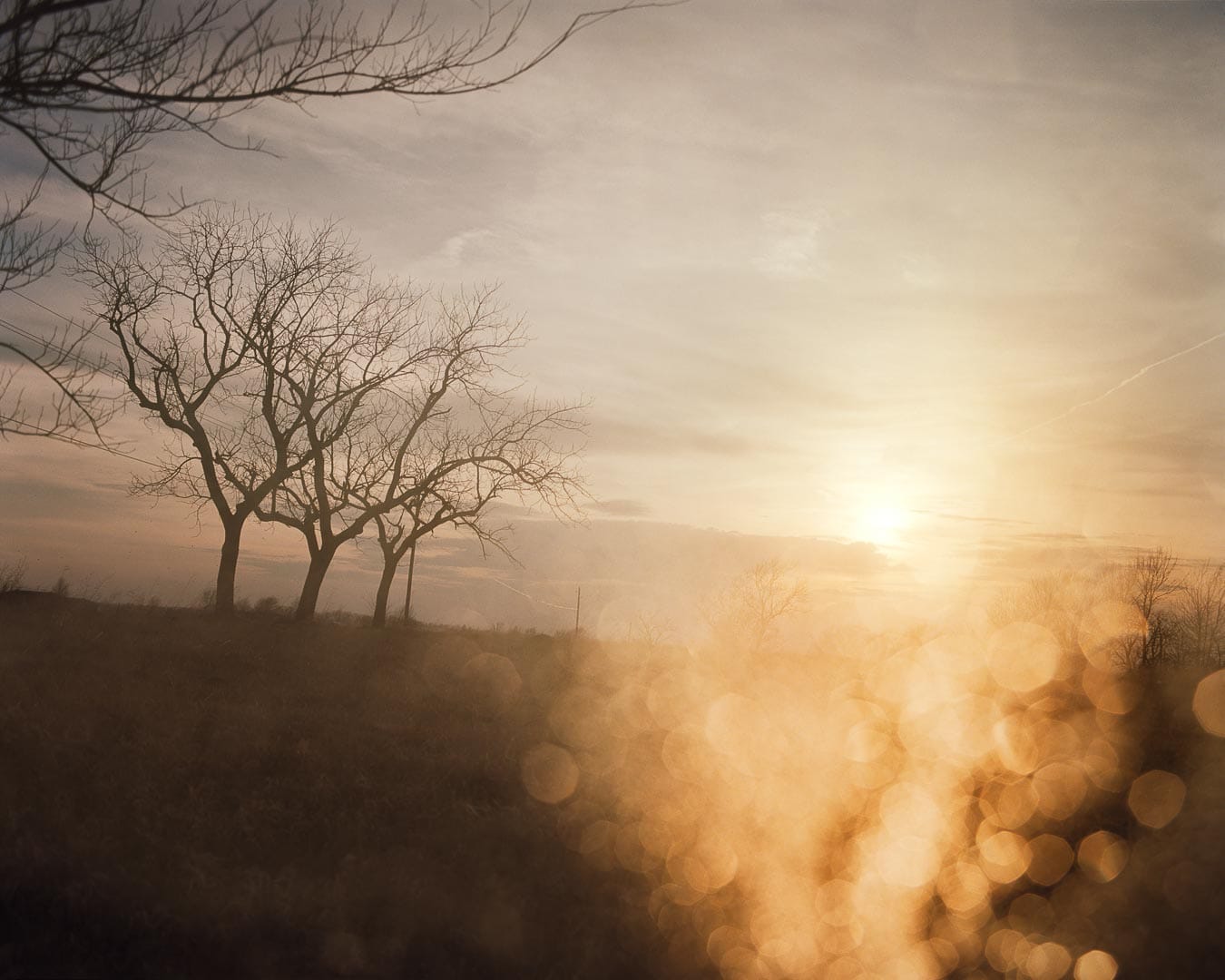 Todd Hido, soleil orange perçant derrière des arbres nus