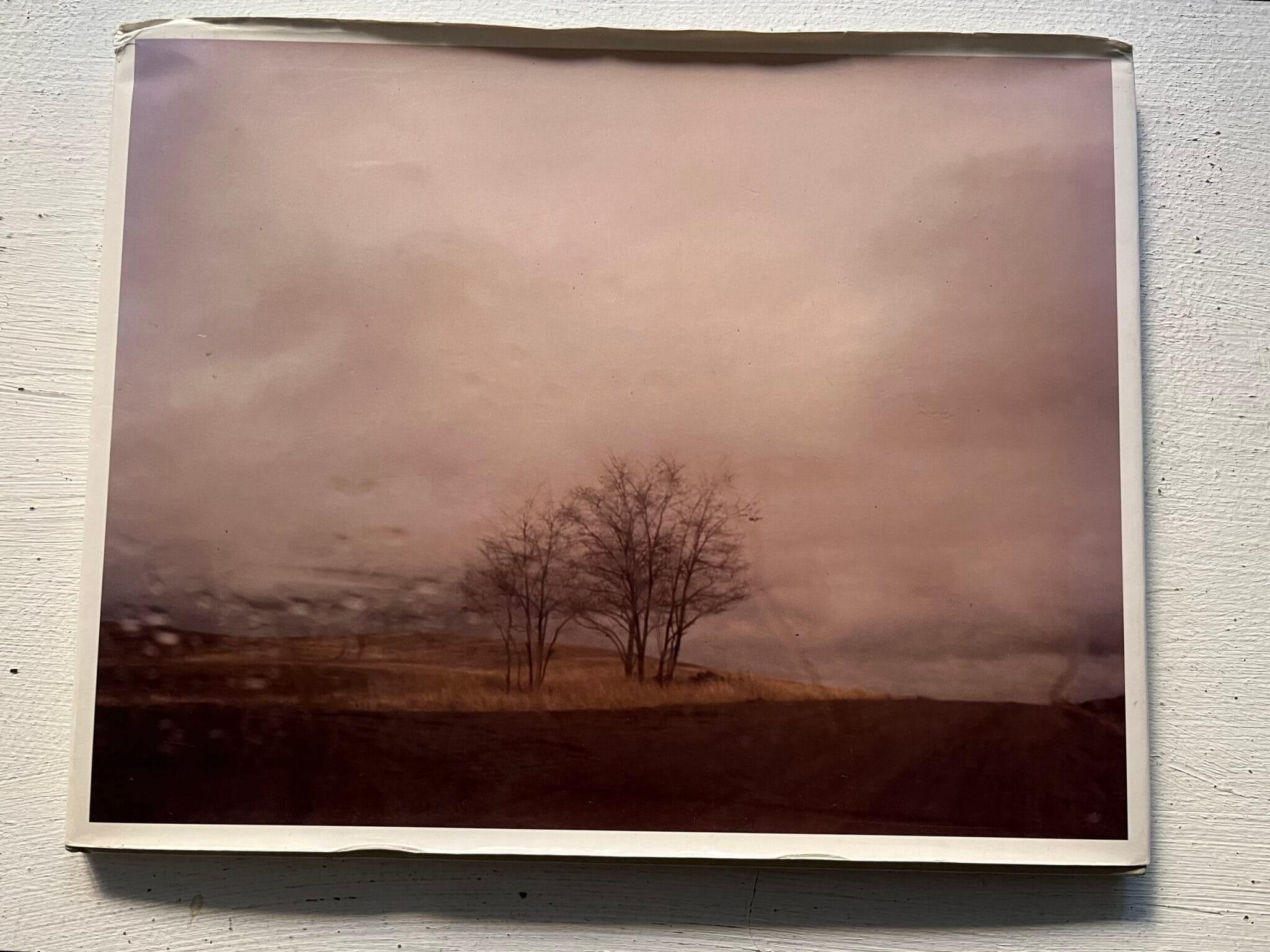 Couverture du livre Roaming de Todd Hido