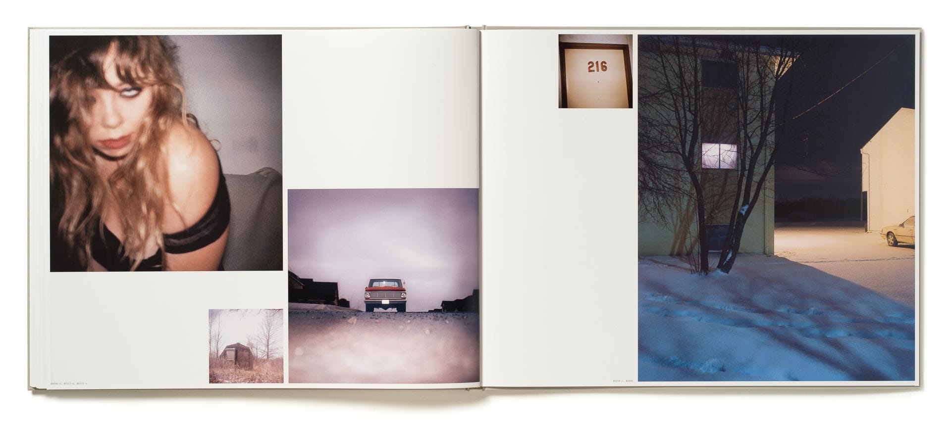Dépliant ouvert d'Excerpts from Silver Meadows de Todd Hido, quatre volets d'images côte à côte