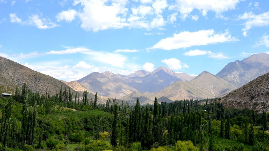 Paysage de la vallée du Limarí au Chili
