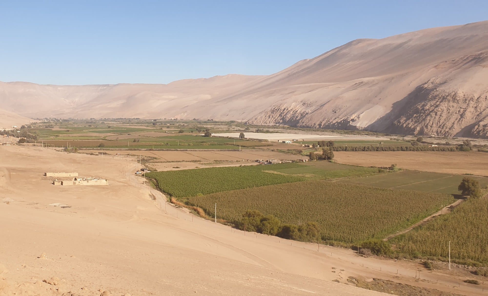 La vallée de Lluta, près d'Arica, dans le désert du nord du Chili