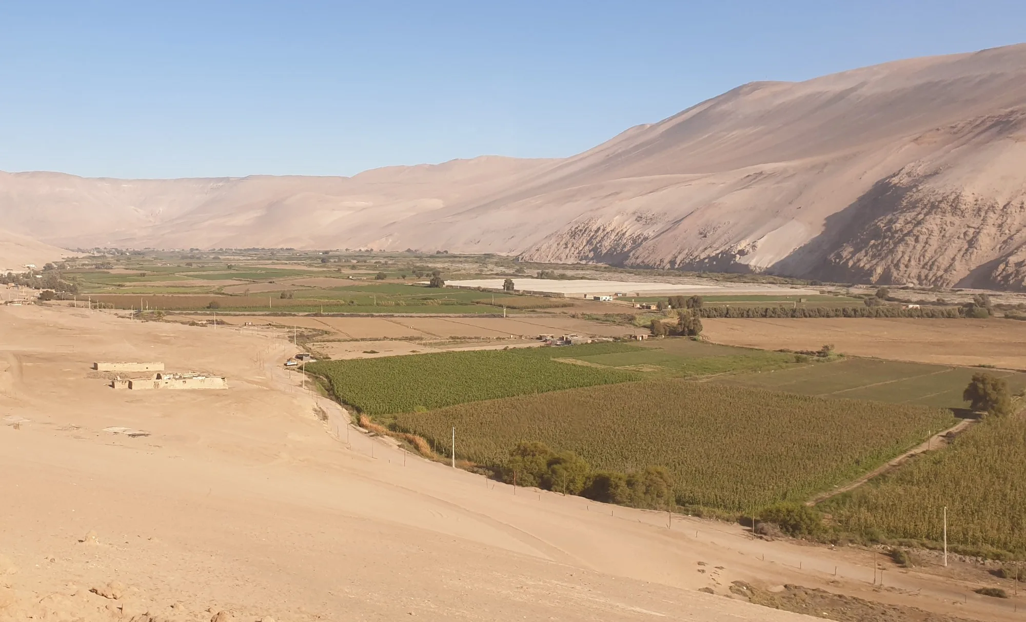La vallée de Lluta, près d'Arica, dans le désert du nord du Chili