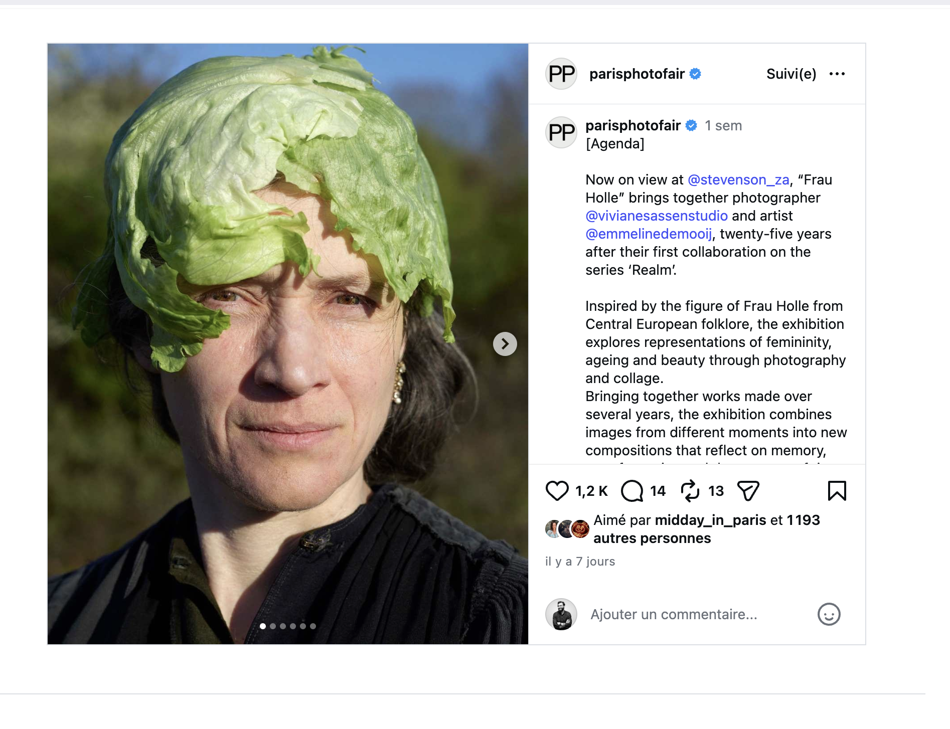 Capture d’une publication de Paris Photo présentant Frau Holle, de Viviane Sassen et Emmeline de Mooij