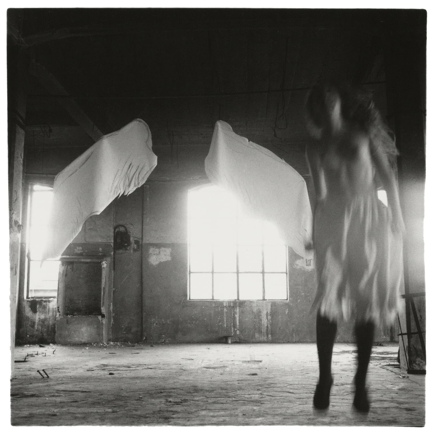 From Angel Series, Rome, Italie, septembre 1977