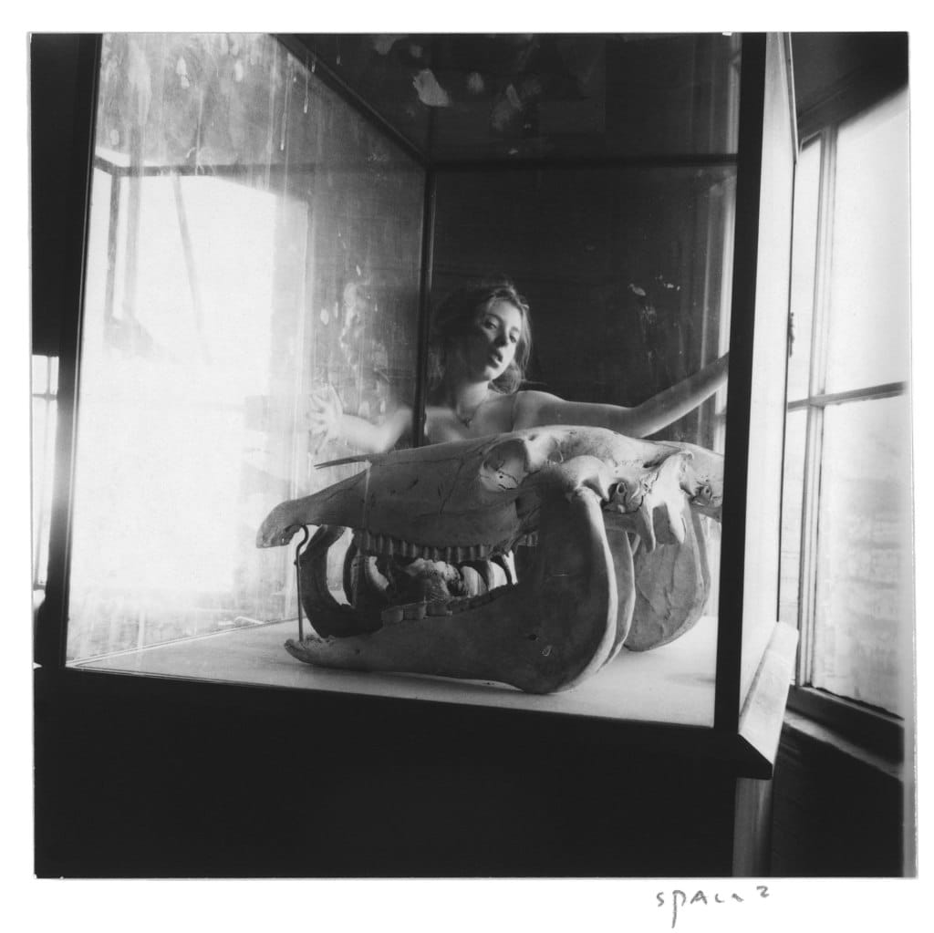 Space2, Providence, Rhode Island, 1976, corps dans une vitrine d'exposition