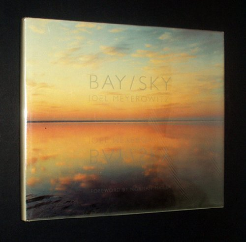 Couverture de Bay/sky