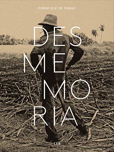 Couverture de Desmemoria