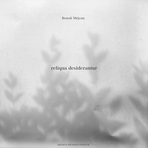 Couverture de Reliqua desiderantur