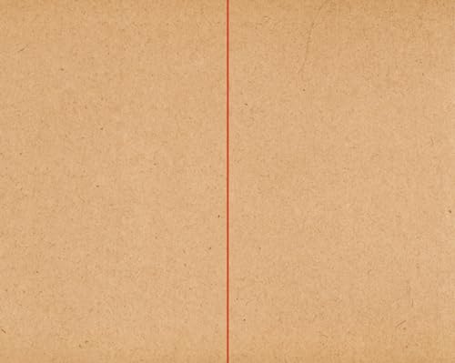 Couverture de Meridian