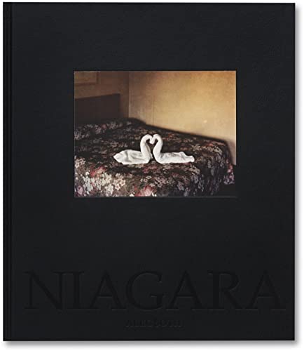 Couverture de Niagara