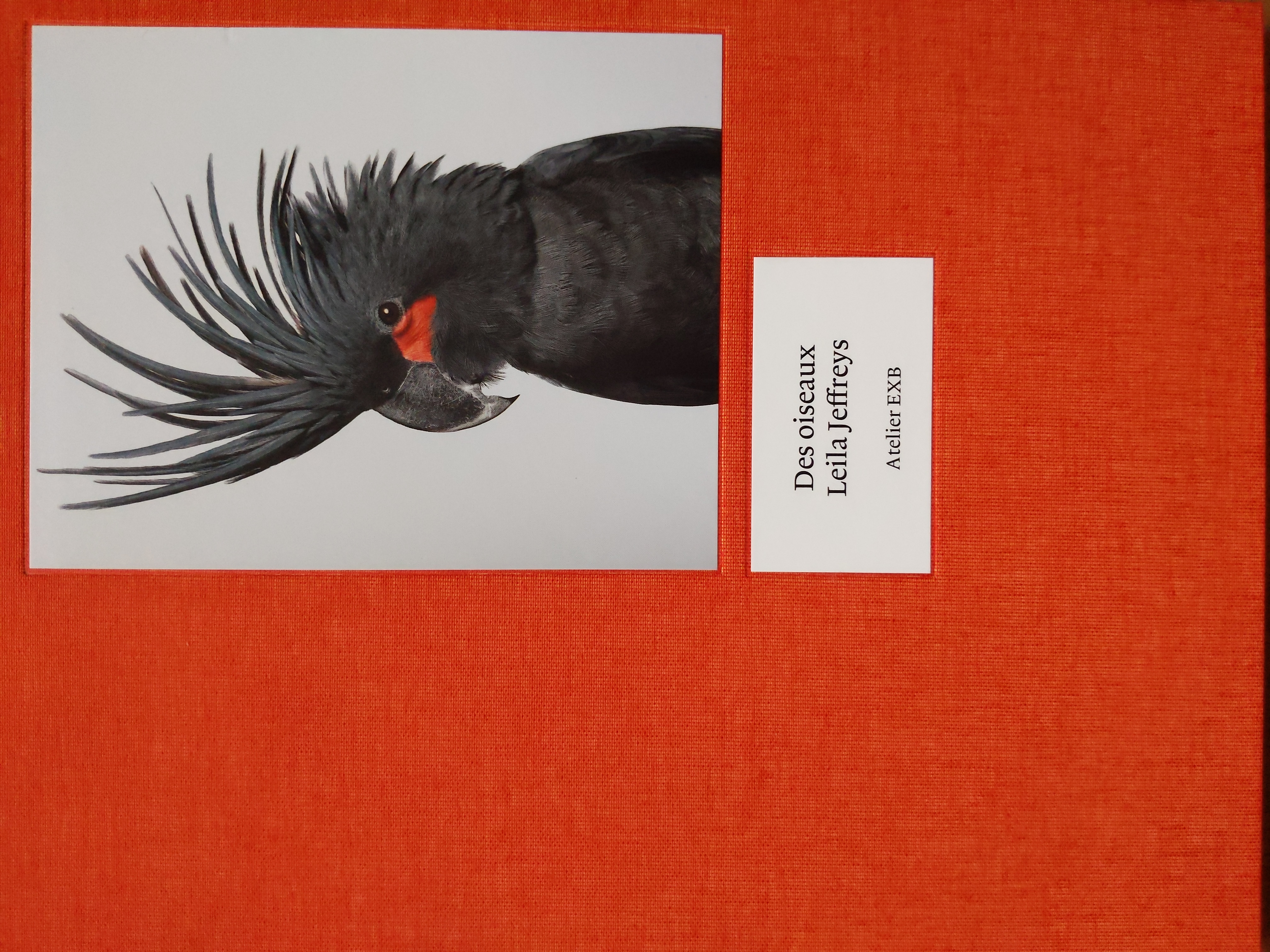 Couverture de Des Oiseaux