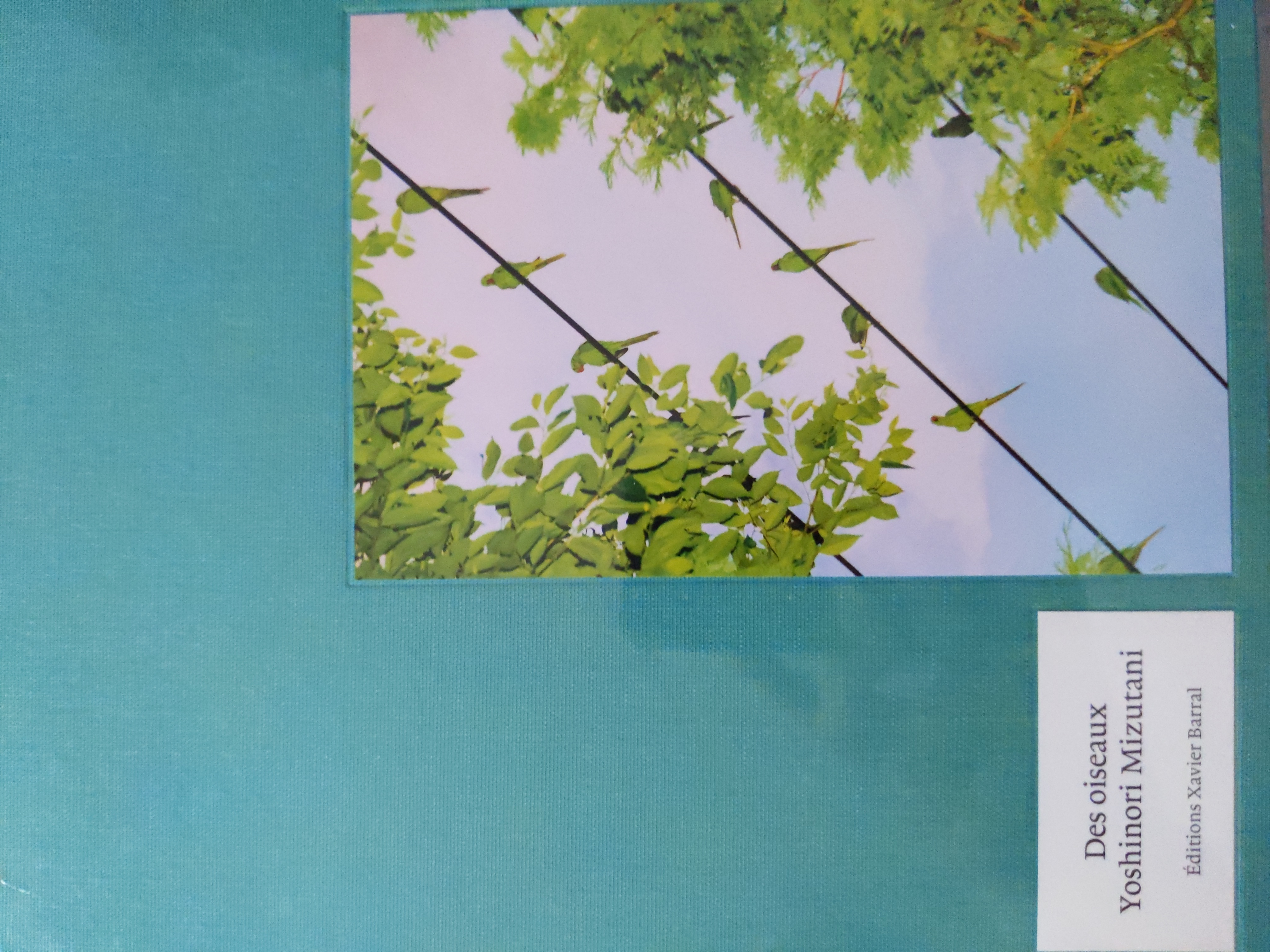 Couverture de Des Oiseaux