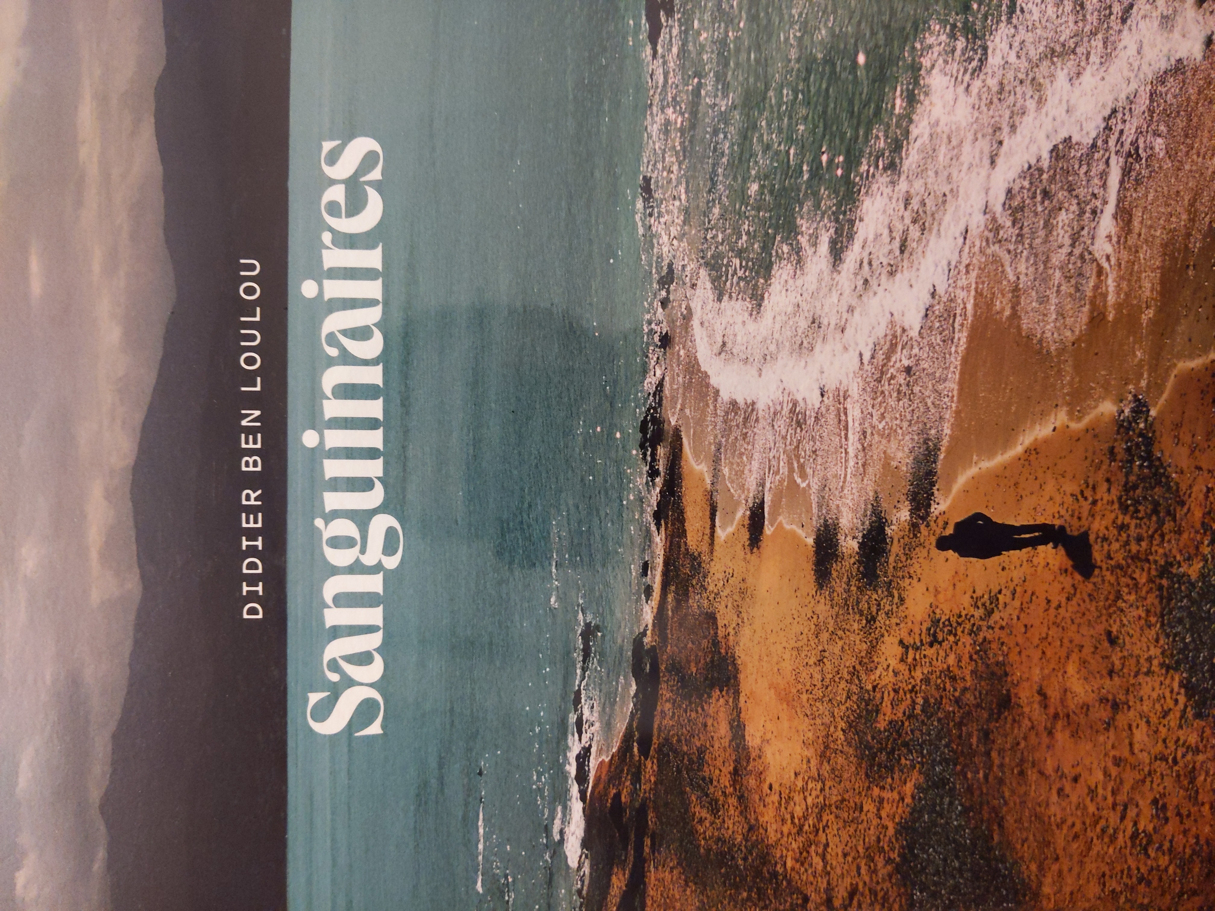 Couverture de Sanguinaires