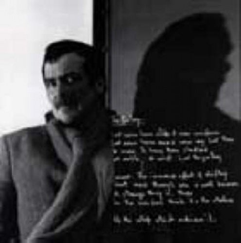 Couverture de Picture: Welsh Poets