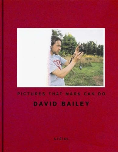 Couverture de Pictures That Mark Can Do