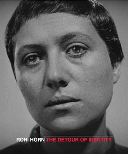 Couverture de The Detour Of Identity