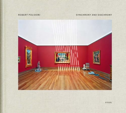 Couverture de Synchrony And Diachrony