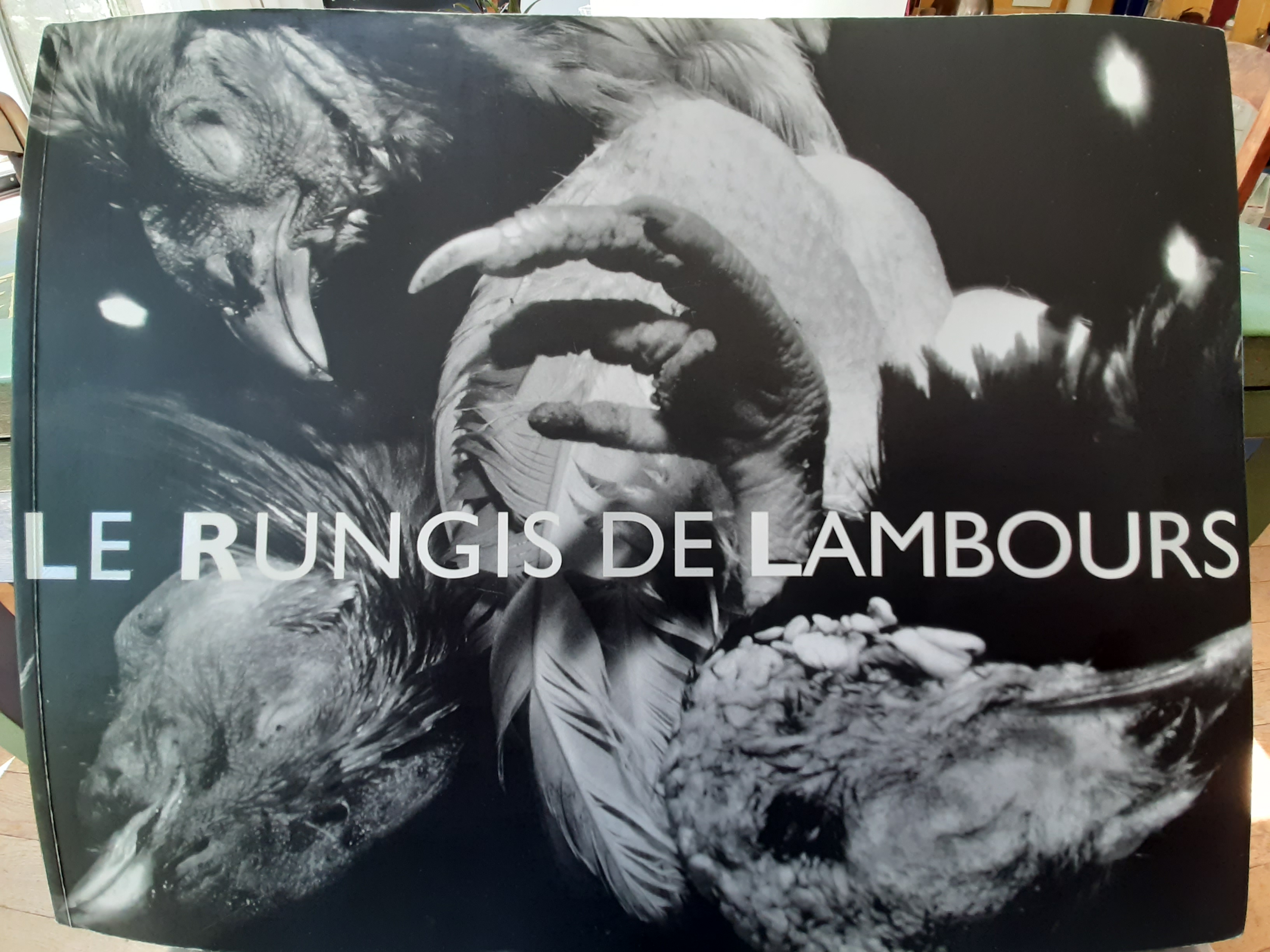 Couverture de Le livre de Rungis