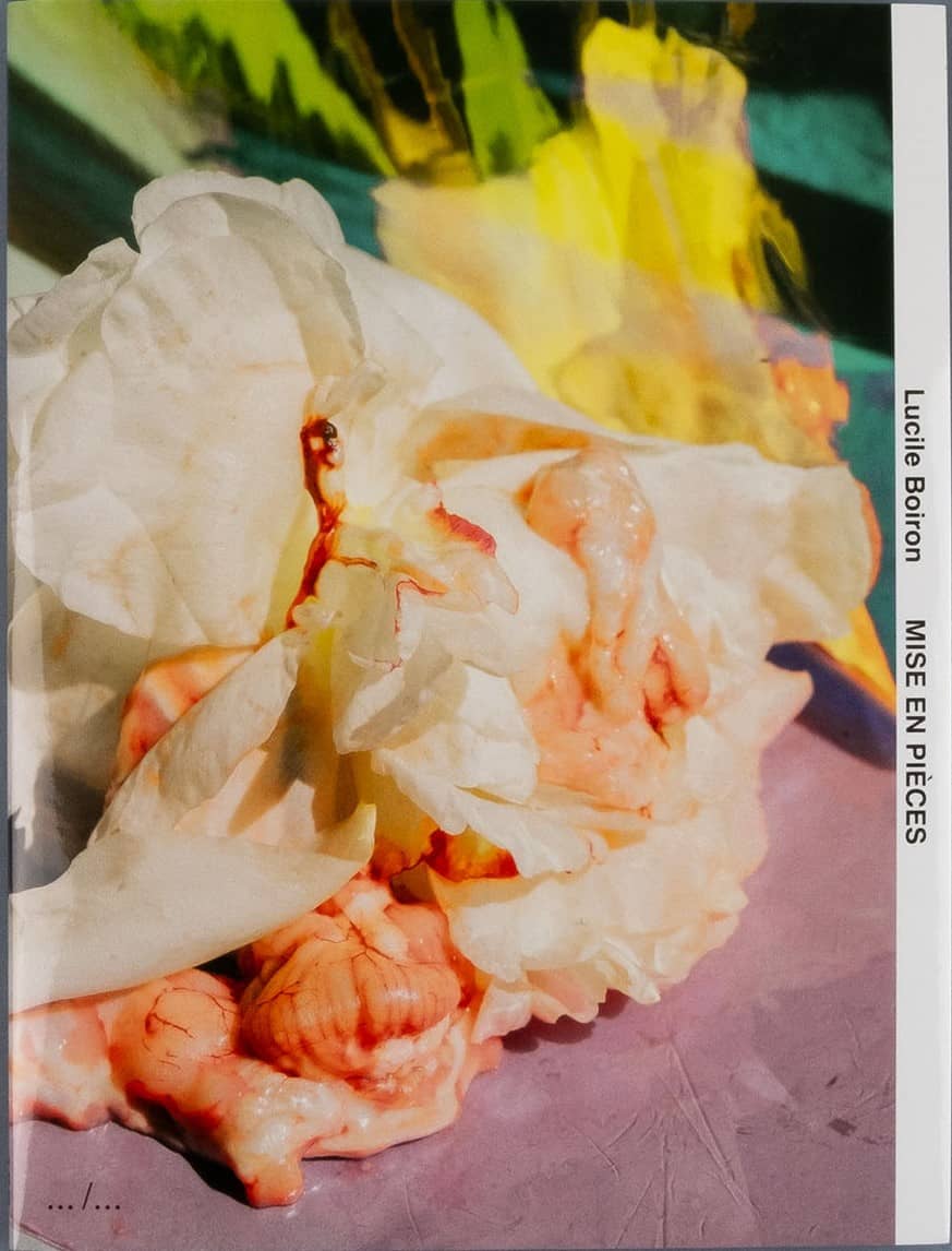 Couverture de Mise en pièces