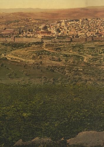 Couverture de En palestine - La magie du photochrome