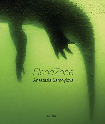 Couverture de Floodzone