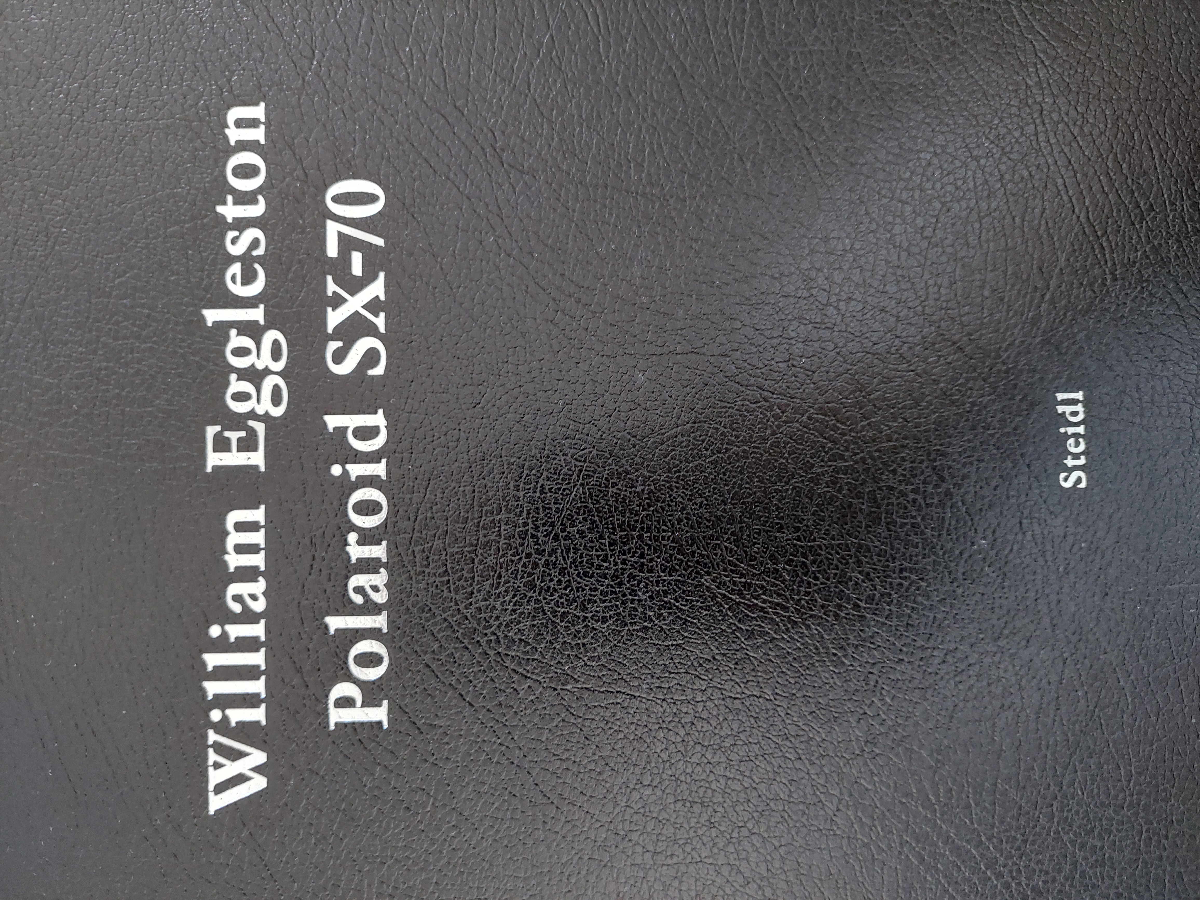 Couverture de William Eggleston: Polaroid SX-70