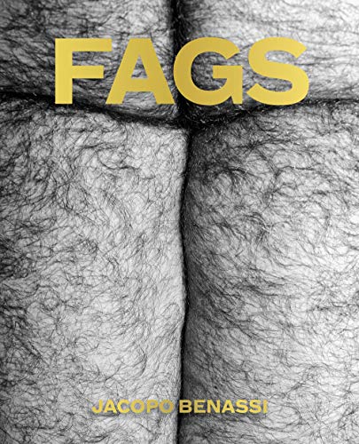 Couverture de Fags