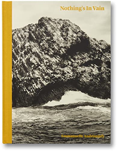 Couverture de Nothing's in Vain