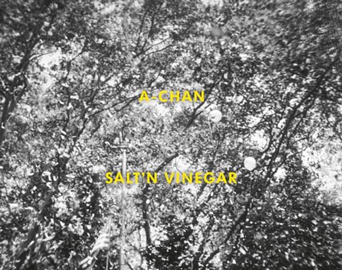 Couverture de Salt'N Vinegar