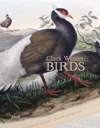Couverture de Birds