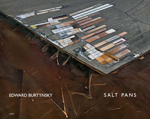 Couverture de Salt Pans