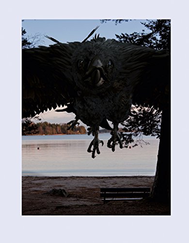 Couverture de Parallel Worlds