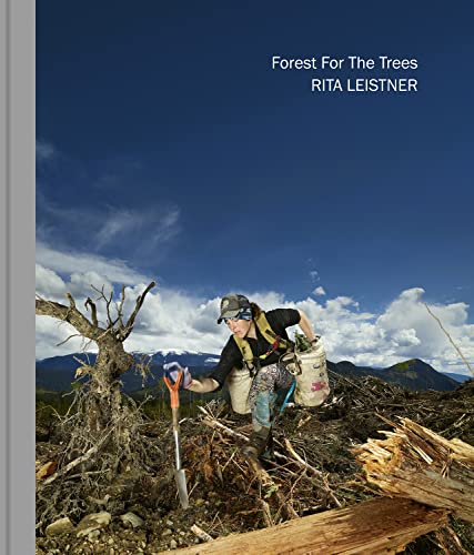 Couverture de Forest For The Trees