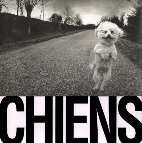 Couverture de Chiens