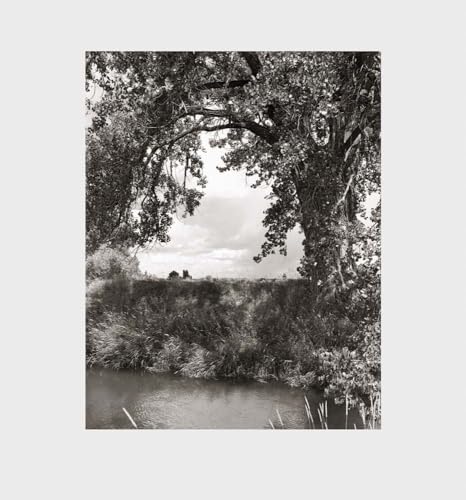 Couverture de Cottonwoods