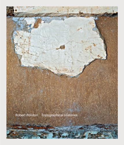 Couverture de Topographical Histories