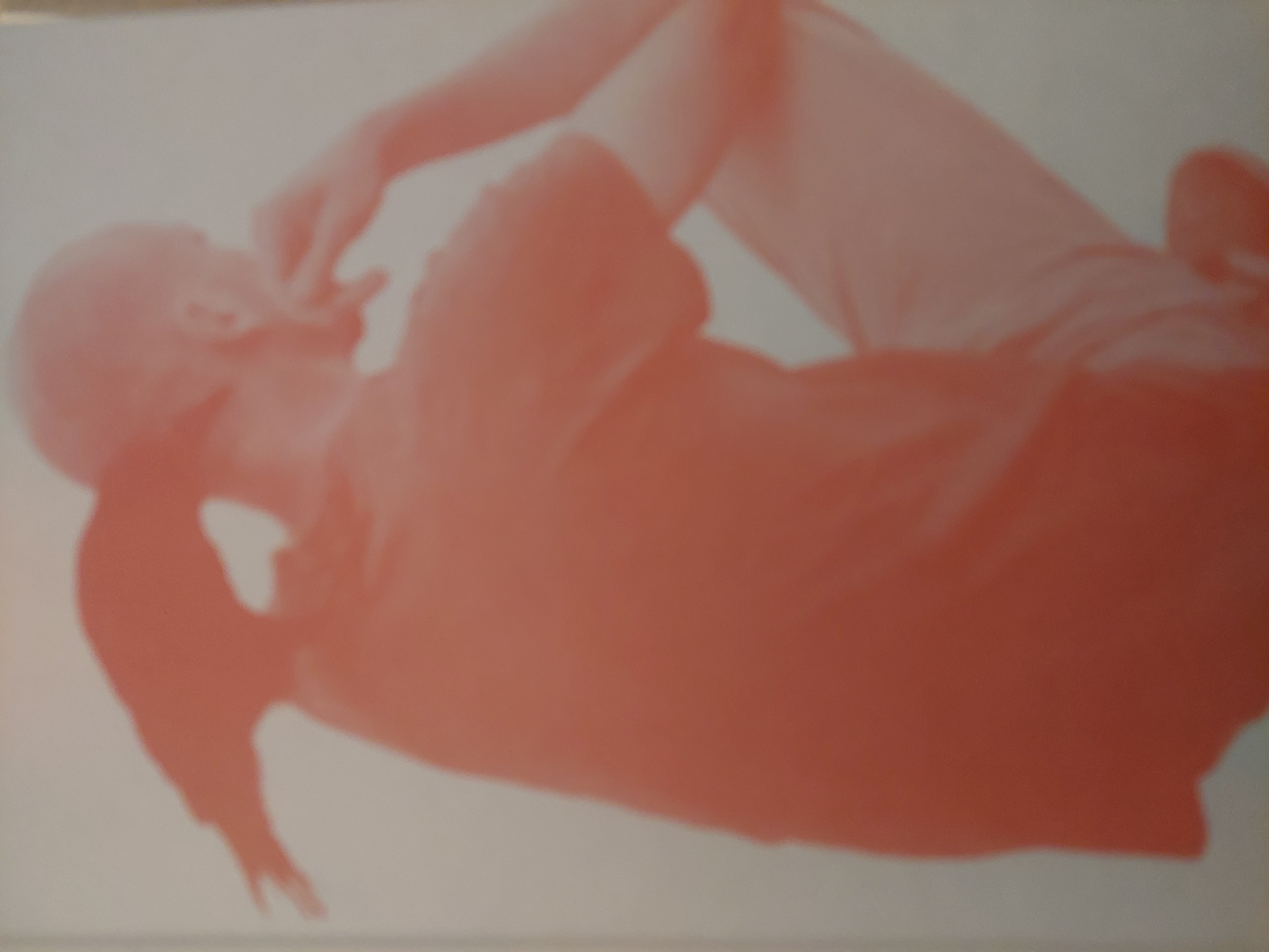 Couverture de A sensitive education
