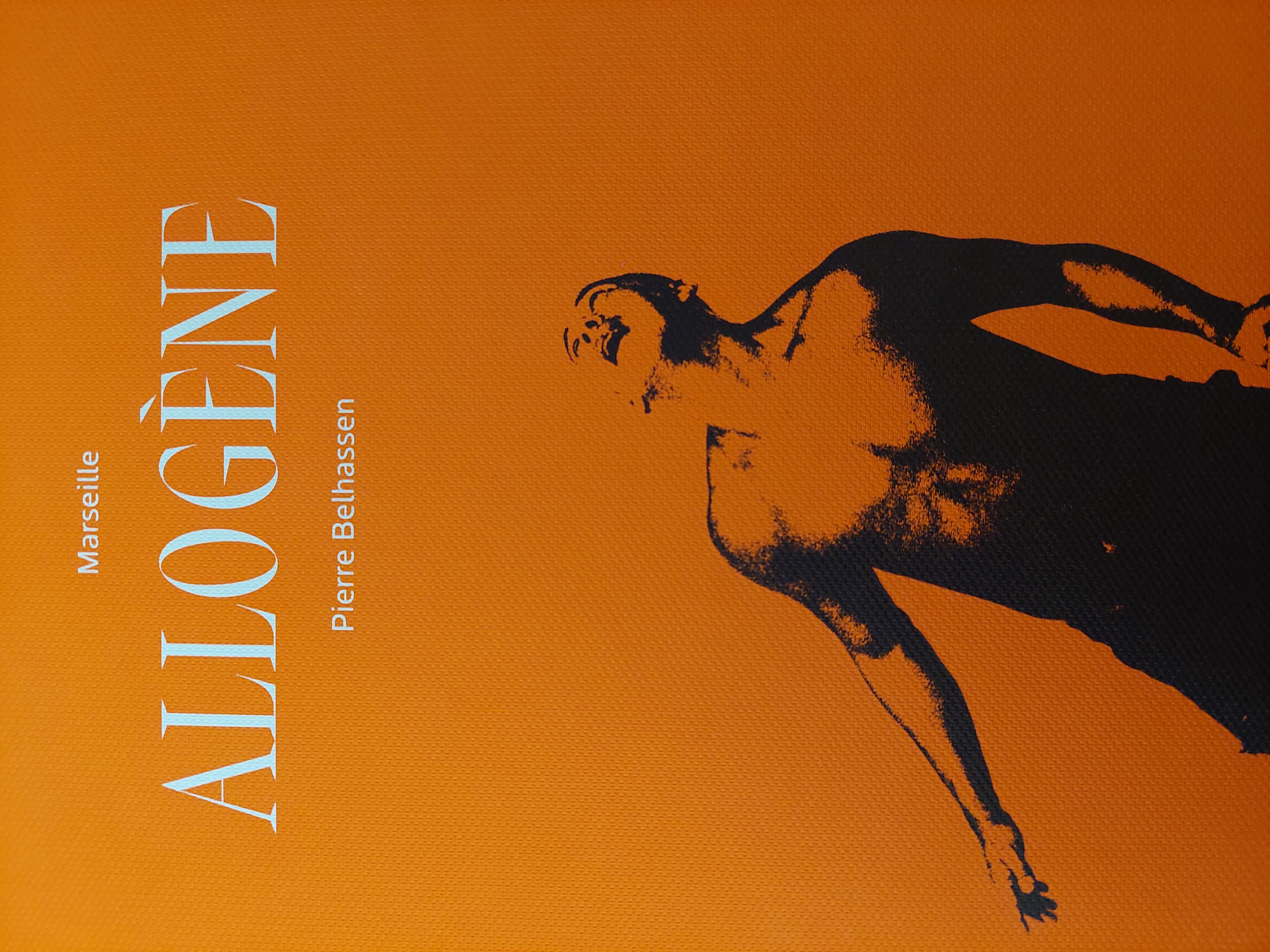 Couverture de Marseille Allogène