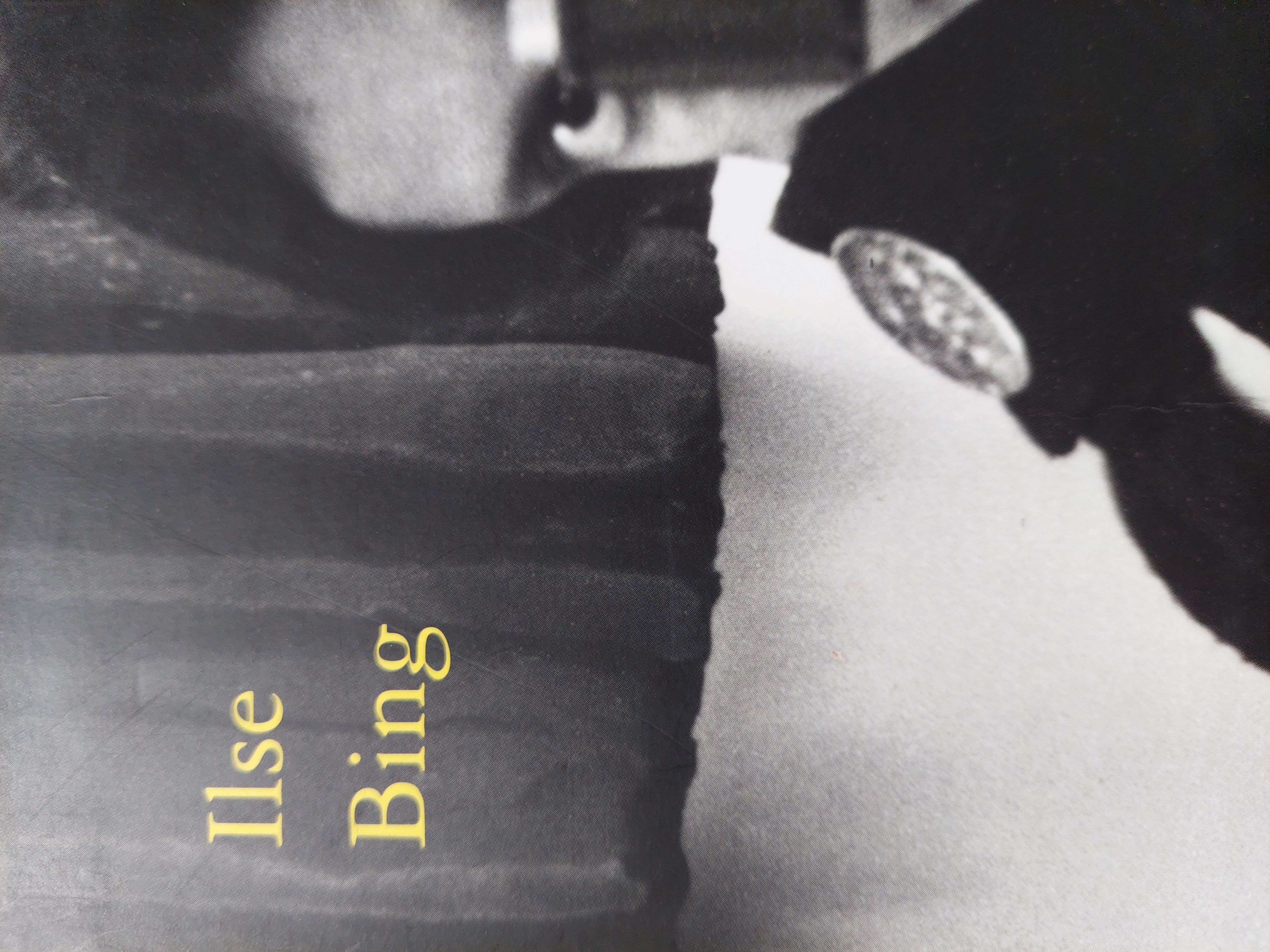 Couverture de Ilse Bing