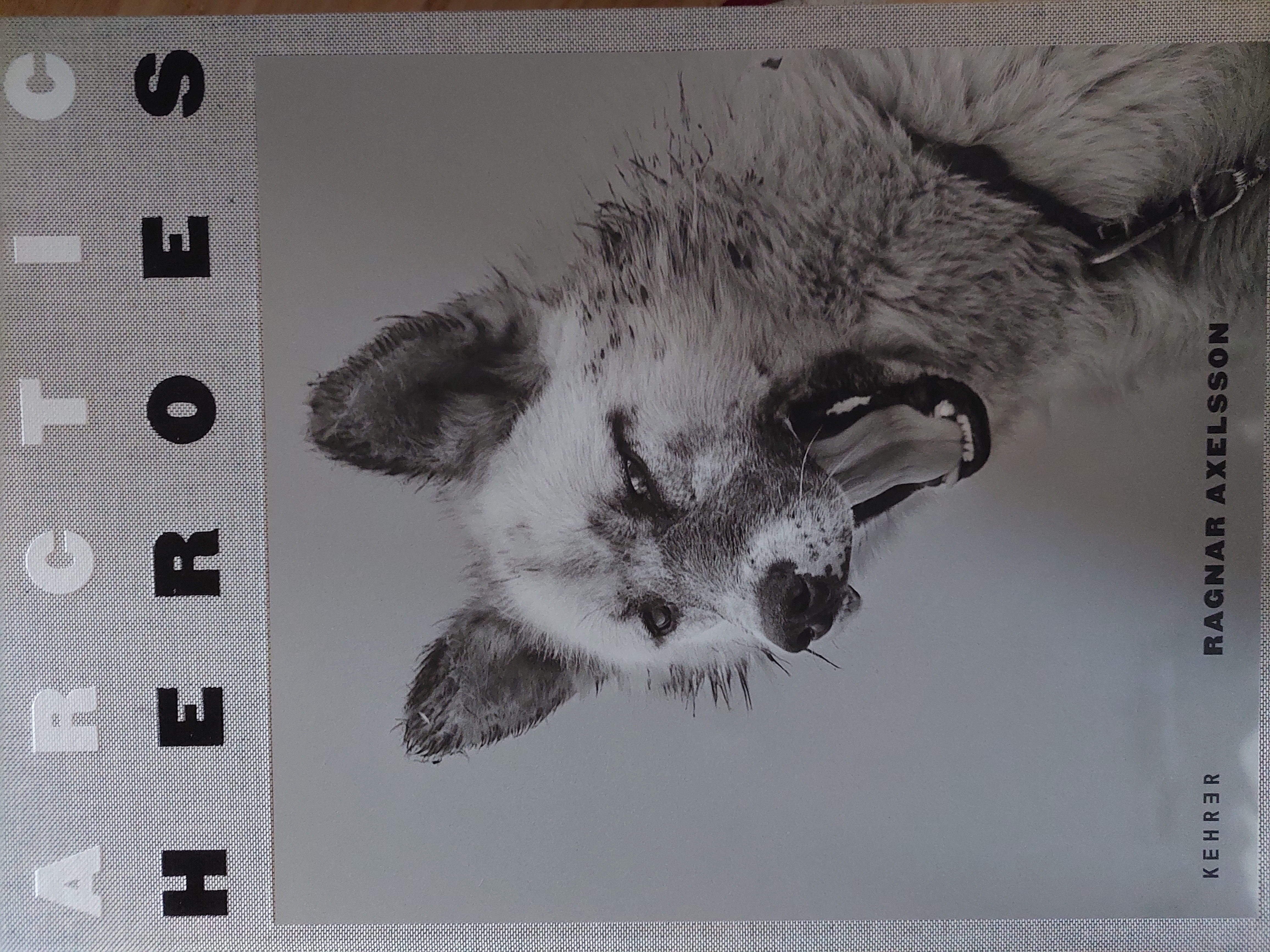 Couverture de Arctic Heroes: A Tribute to the Sled Dogs of Greenland