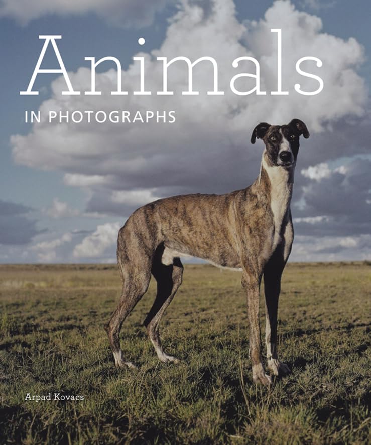 Couverture de Animals in Photographs