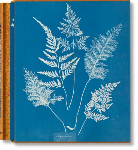 Couverture de Anna Atkins. Cyanotypes