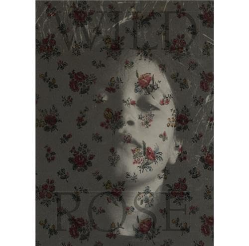 Couverture de Wild Rose