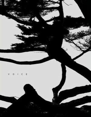 Couverture de Voice