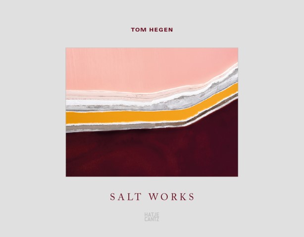 Couverture de Salt Works