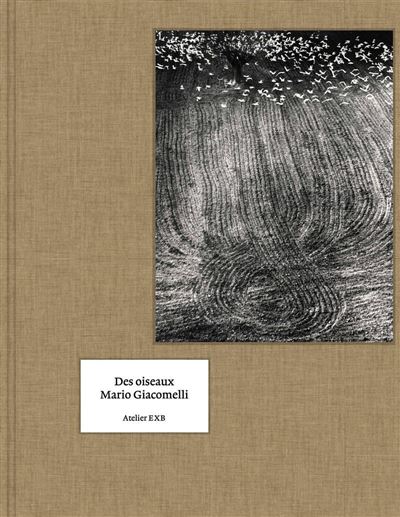 Couverture de Des oiseaux - (Version Anglaise)